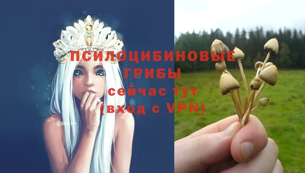 mix Аркадак