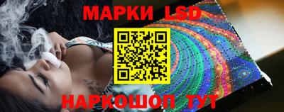 гашик Новокубанск