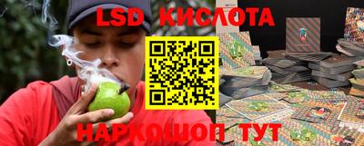 гашик Новокубанск