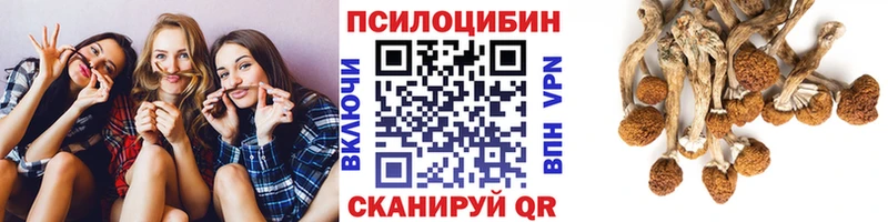 купить наркоту  кракен   Псилоцибиновые грибы MAGIC MUSHROOMS  Рыбинск 
