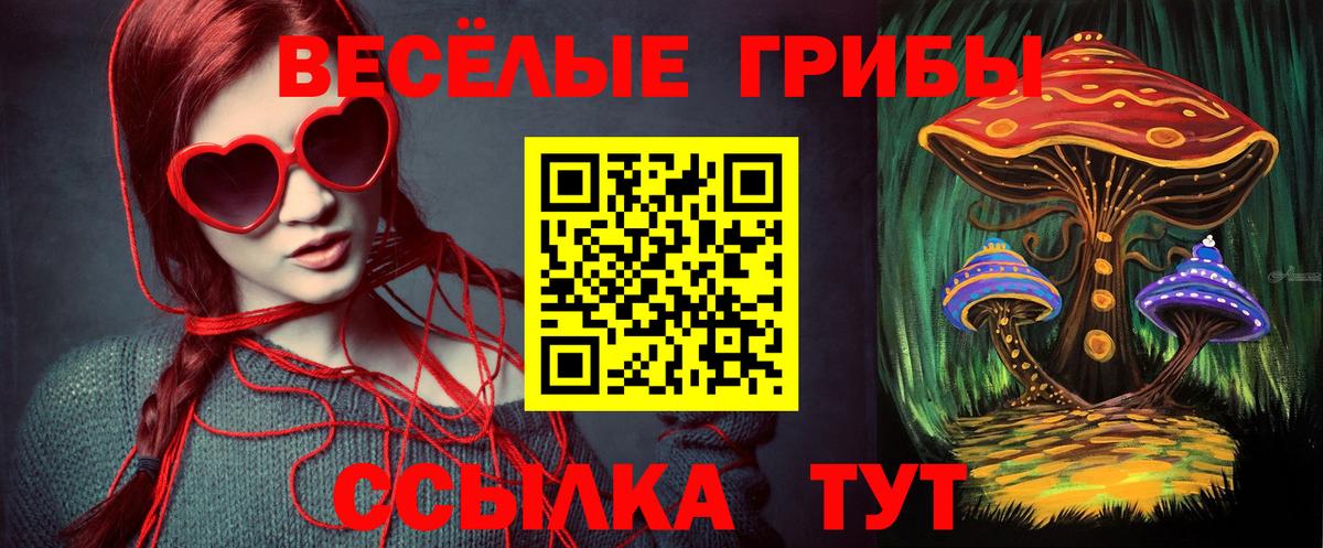 Галлюциногенные грибы прущие грибы Рыбинск